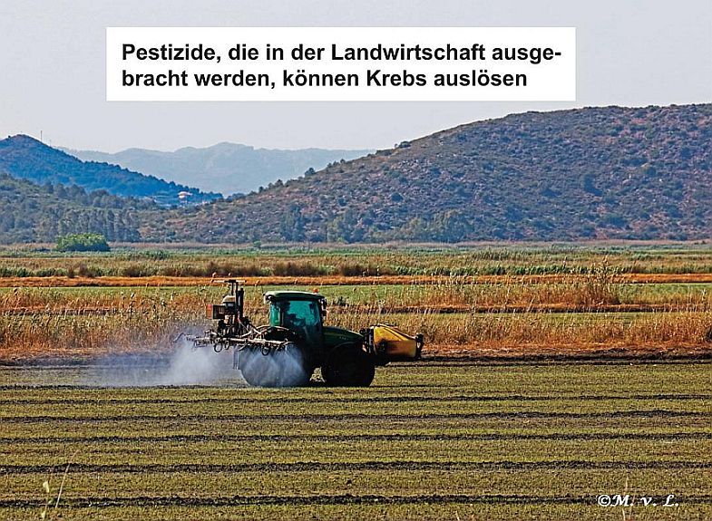 Pestizide, die in der Landwirtschaft ausgebracht werden, können Krebs auslösen.
